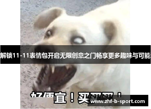 解锁11-11表情包开启无限创意之门畅享更多趣味与可能