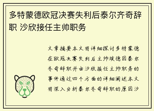 多特蒙德欧冠决赛失利后泰尔齐奇辞职 沙欣接任主帅职务